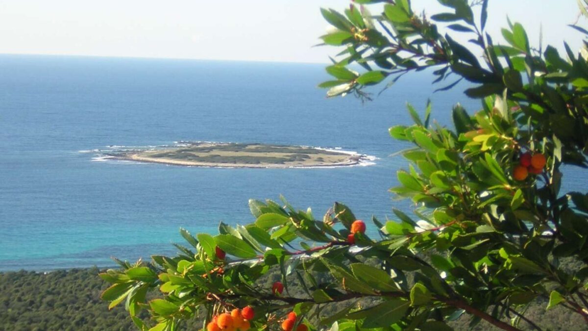 Predavanje Sekcije farmaceuta seniora: “Ljekovite biljke blagodat su prirode koja liječi”, 11. studenoga 2025.