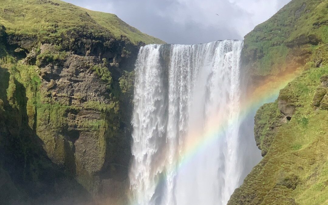 Predavanje Sekcije farmaceuta seniora “Kako smo tražili islandski lišaj – putopis s Islanda”, utorak, 10. ožujka 2026.