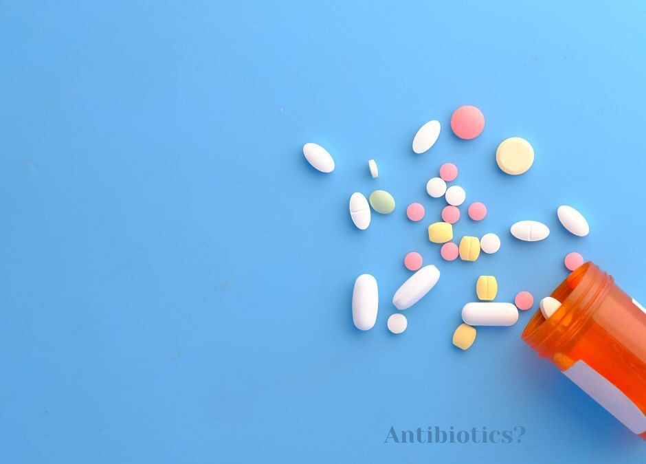 Najavljujemo hibridni simpozij Liječenje infekcija uzrokovanih multirezistentnim uzročnicima,  Zagreb, 27. veljače 2026.